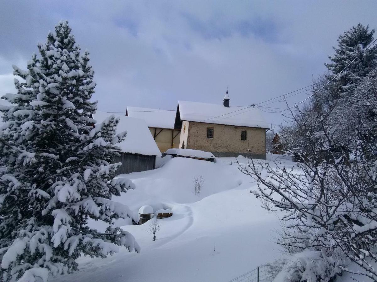 Bel Appartement Au Rez De Chaussee D'Un Chalet Jarrier Luaran gambar